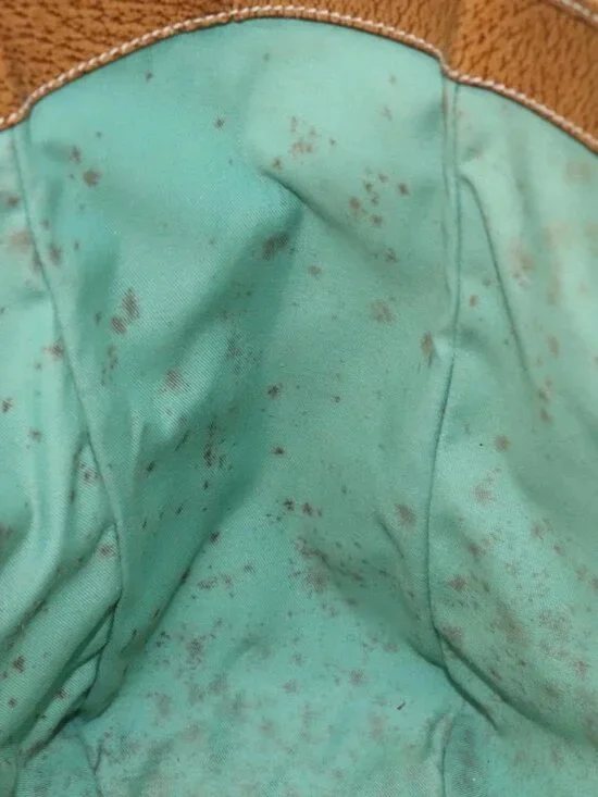 GUCCI GG Canvas Tote Bag Turquoise Blue 113017 Auth 115077 - Picture 10 of 16